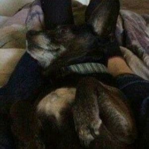 Meet your Posher, Jayden